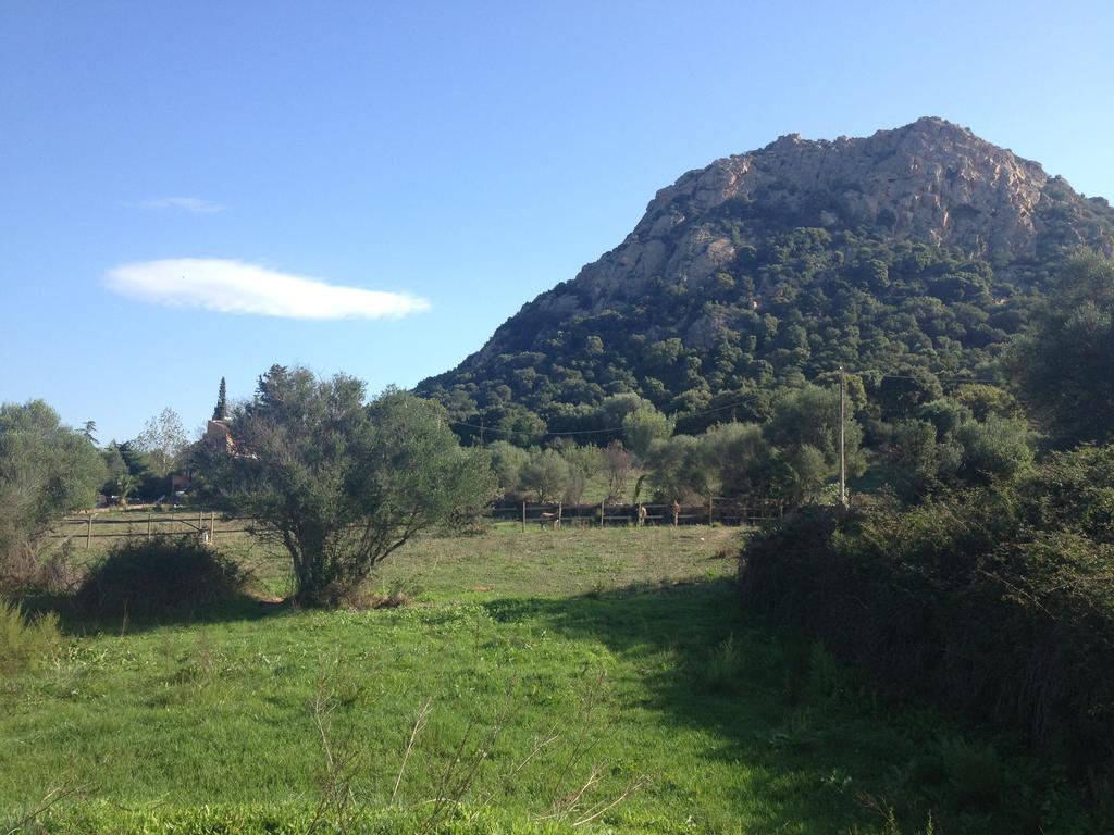 Agriturismo La Casa Delle Fate Loiri Porto San Paolo Luaran gambar