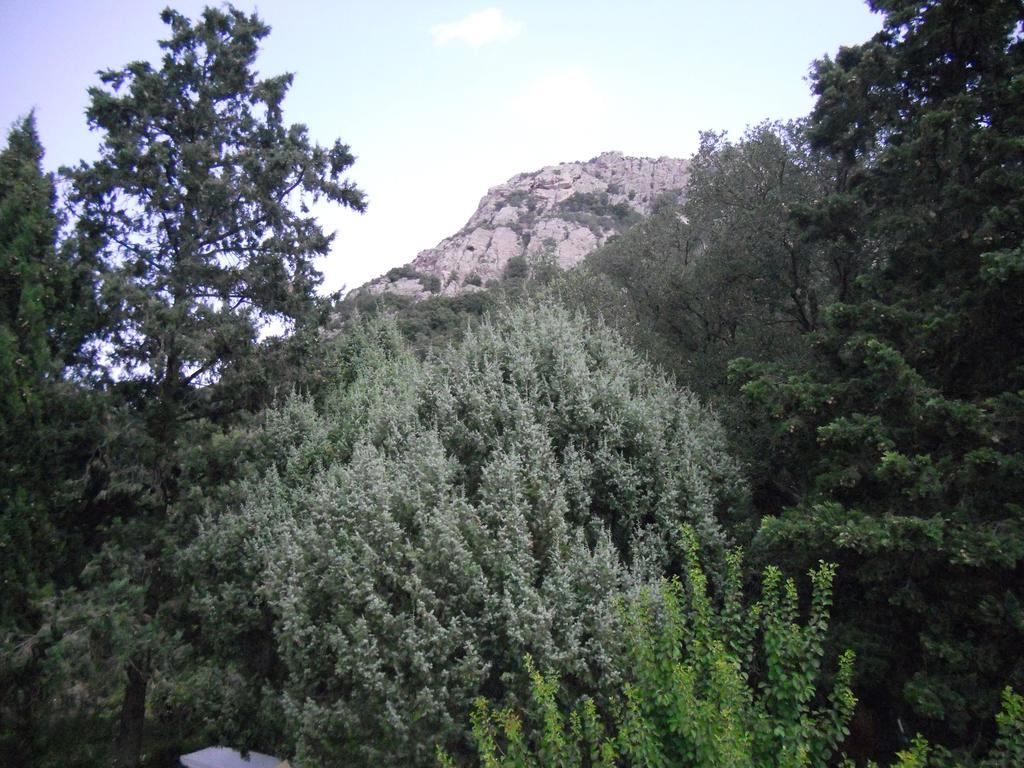 Agriturismo La Casa Delle Fate Loiri Porto San Paolo Luaran gambar