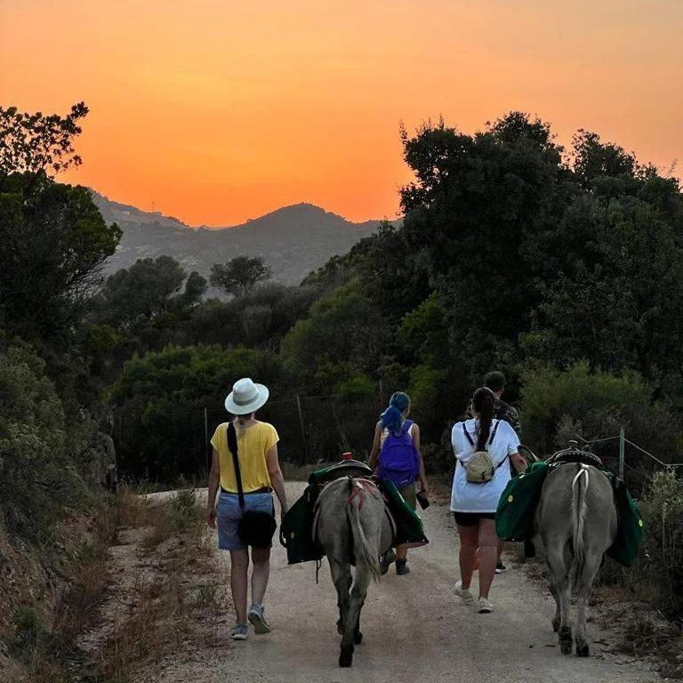 Agriturismo La Casa Delle Fate Loiri Porto San Paolo Luaran gambar