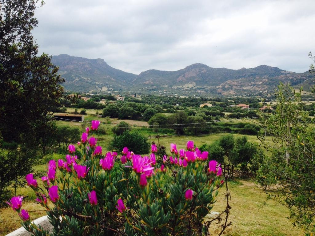 Agriturismo La Casa Delle Fate Loiri Porto San Paolo Luaran gambar