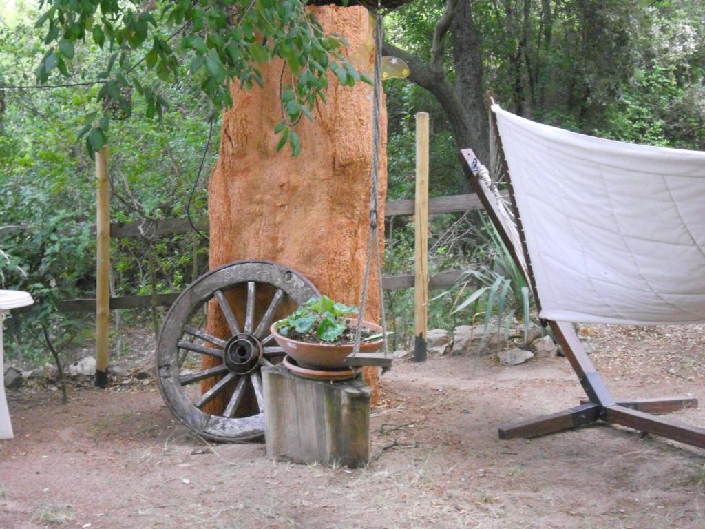 Agriturismo La Casa Delle Fate Loiri Porto San Paolo Luaran gambar