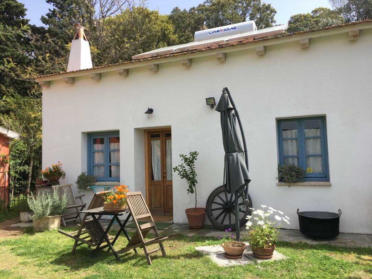 Agriturismo La Casa Delle Fate Loiri Porto San Paolo Luaran gambar