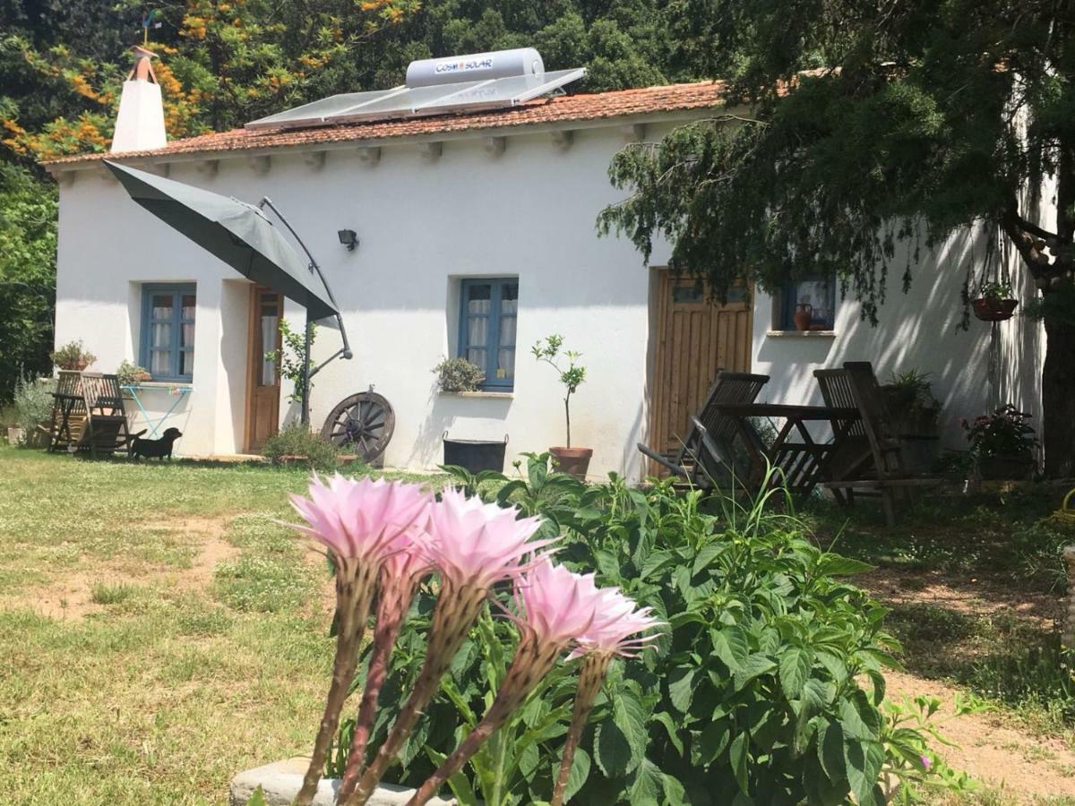 Agriturismo La Casa Delle Fate Loiri Porto San Paolo Luaran gambar